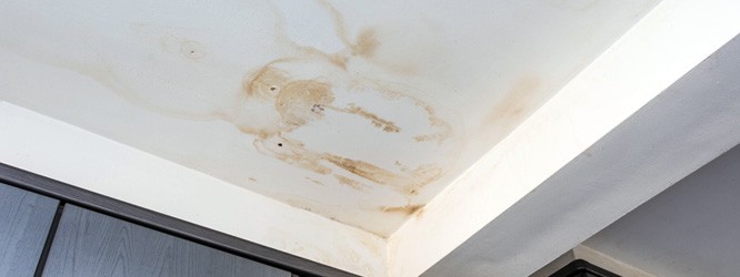 Silikonfugen 10.2025